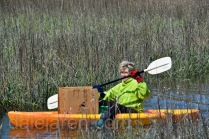 Too bad my foster parent cannot fly as well as she can paddle